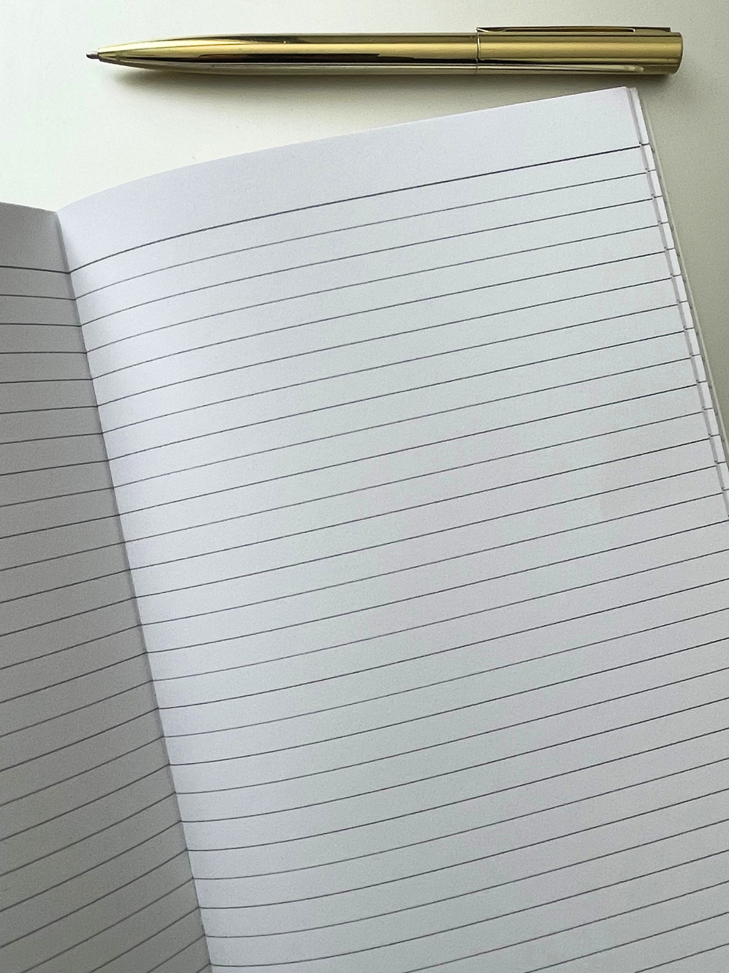 Rough notebook set